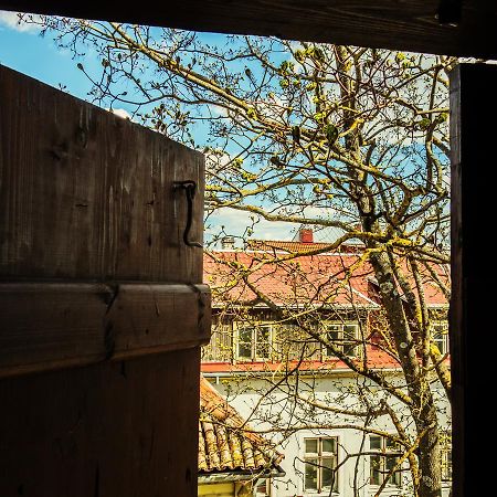 Uus 3 Residence Parnu Bagian luar foto